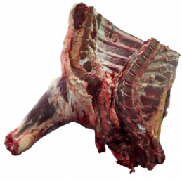 Delantero De Hembra 6 Costilla