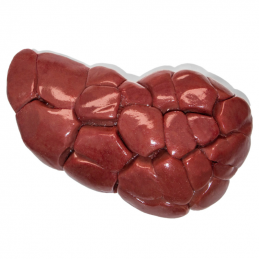 Riñones De Ternera...