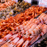 Marisco y Moluscos