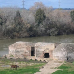 Alcolea del Río
