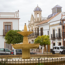 Brenes