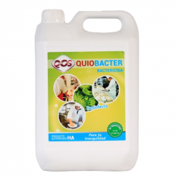 Quiobacter 5L (Bactericida:...
