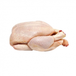 Canal de gallina