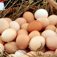 Huevos